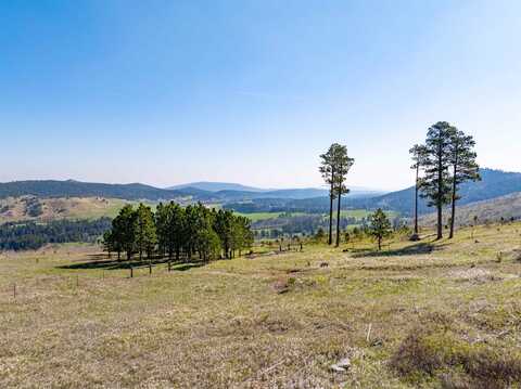 20896 Majestic Heights Road, Sturgis, SD 57785
