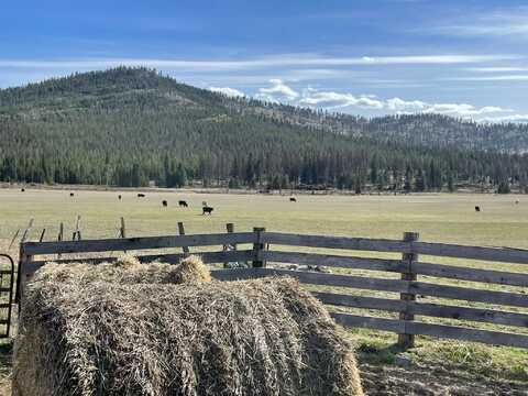 342 Acres Bear Springs Ranch, Marion, MT 59925