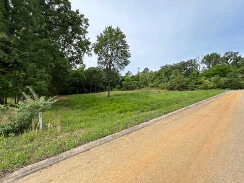 43 Sparrowhawk, Pocahontas, AR 72455