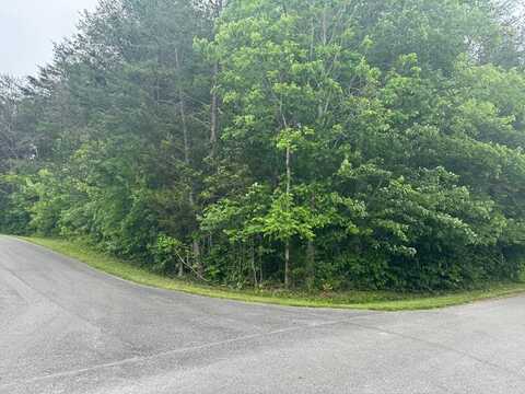 Lot 27 Johnnie Bud Lane, COOKEVILLE, TN 38501