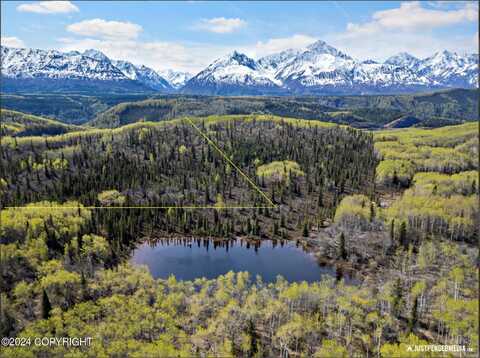 B005 Pinochle Creek Road, Chickaloon, AK 99674