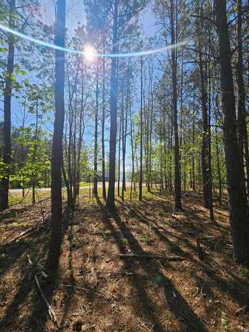 Waterwheel Way, Jasper, TN 37347