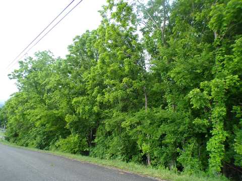 0 Ashley Ln, Dayton, TN 37321