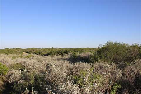 0 County Road 330, San Diego, TX 78384