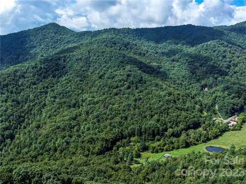 99999 Moody Cove Road, Weaverville, NC 28787