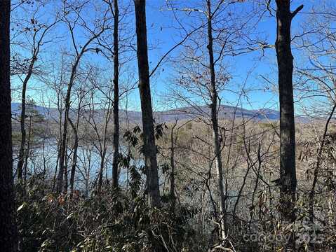 Lake Adger Parkway lot: 62, Mill Spring, NC 28756