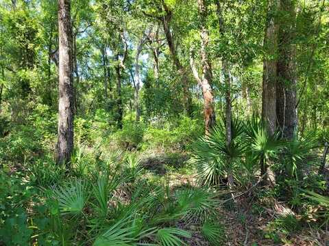 8391 172nd Ln, Fanning Springs, FL 32693