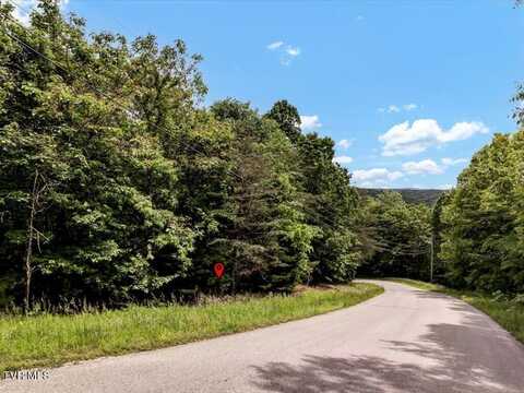 Lot 141 Whistle Valley Road, New Tazewell, TN 37825