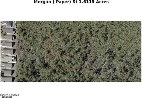 0 Morgan (Paper) Street, Lake Helen, FL 32744