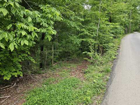 19 Ac High View rd Road, Sevierville, TN 37876