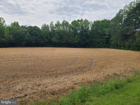 LOT 3 MORRIS RD, PITTSVILLE, MD 21850