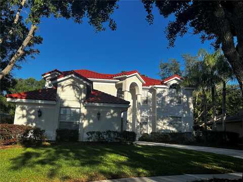 17813 HICKORY MOSS PLACE, TAMPA, FL 33647