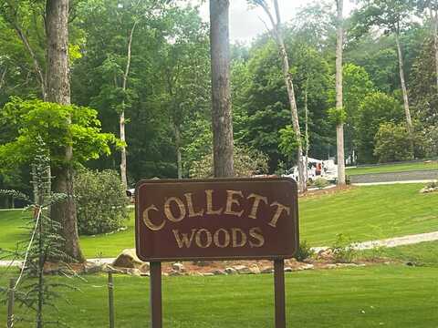 Tbd Wood Collett Cove, Andrews, NC 28901
