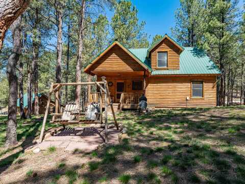 11 Valley Ct, Angel Fire, NM 87710