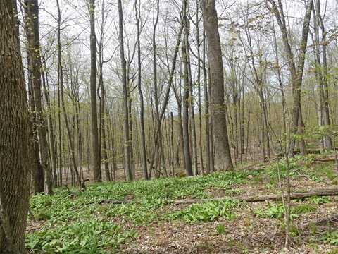 Lot 26 Timberland Drive, Andes, NY 13731