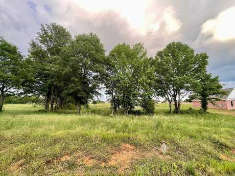 50 Irene Circle, Greenbrier, AR 72058