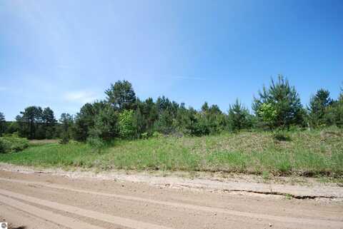 SE RILEY ROAD PARCEL #4, KALKASKA, MI 49646