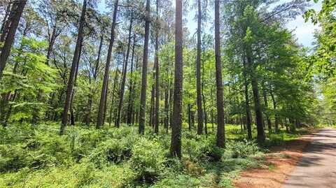 LOT 8, 0 MILL POND Road, Jena, LA 71342