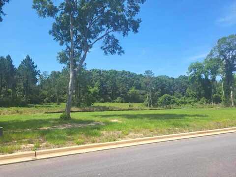 84- Lot 12 Golden Oaks Circle, Dothan, AL 36301