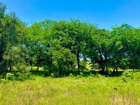Lot 90 Kerry Ct, Poolville, TX 76487