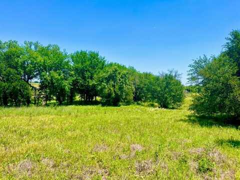 Lot 89 Kerry Ct, Poolville, TX 76487