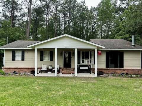 207 Glenwood Drive, Carriere, MS 39426