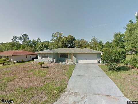 Winter, CITRUS SPRINGS, FL 34434