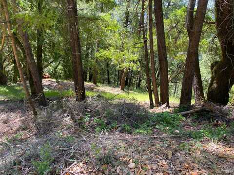 19800 Old Cazadero Road, Guerneville, CA 95421