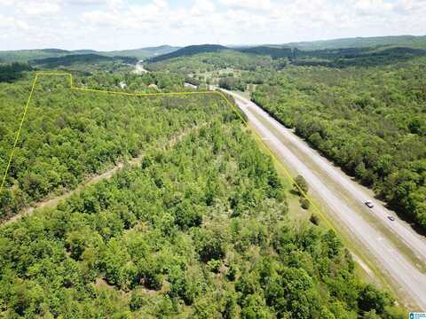 Lot #3 HIGHWAY 75, ONEONTA, AL 35121