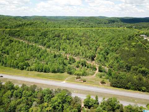 Lot #4 HIGHWAY 75, ONEONTA, AL 35121