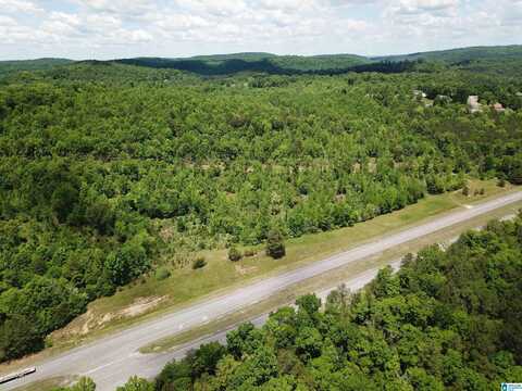 Lot #2 HIGHWAY 75, ONEONTA, AL 35121