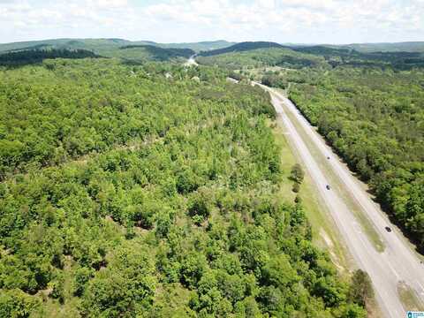 Lot #6 HIGHWAY 75, ONEONTA, AL 35121