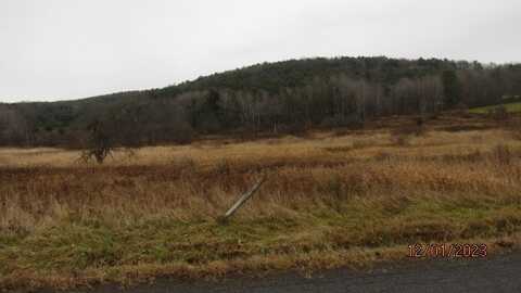 1398 County Route 4, Butternuts, NY 13825