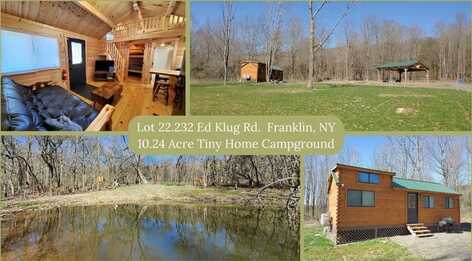 Lot 22.232 Ed Klug Road, Franklin, NY 13775