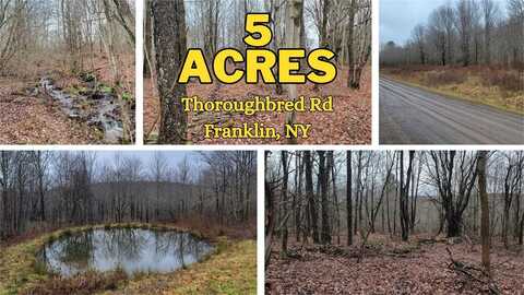 Lot 29 Thoroughbred Road, Franklin, NY 13775