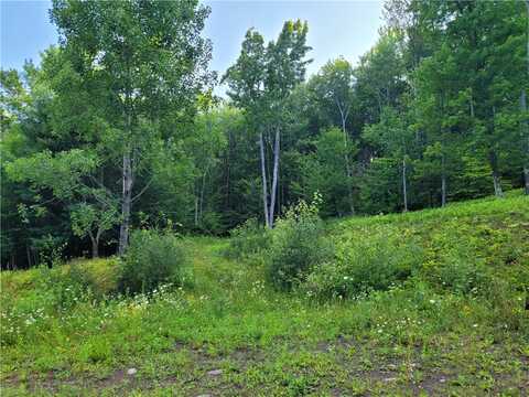 Lot #19 Brush Hollow Road, Bovina, NY 13740