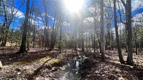 Lot 18.11 Treetops Trail, Mamakating Park, NY 12721