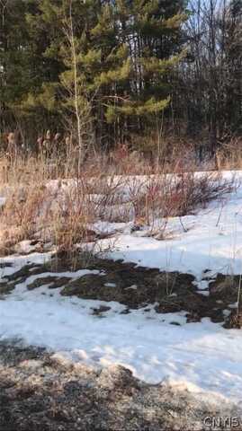 0 Hulser Road, Deerfield, NY 13502