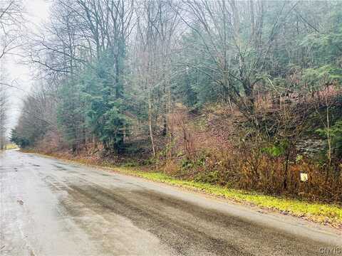 0 W Cheningo Road Road, Truxton, NY 13158