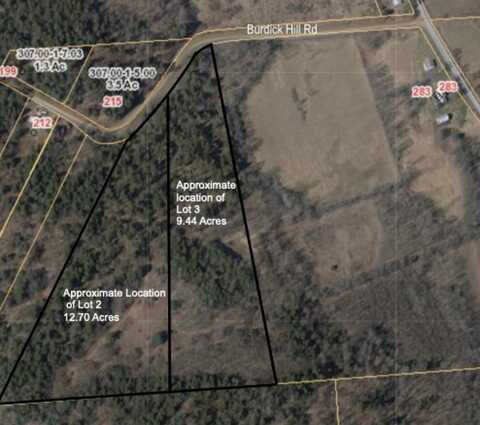 Lot 2 Burdick Hill Road, Otego, NY 13825