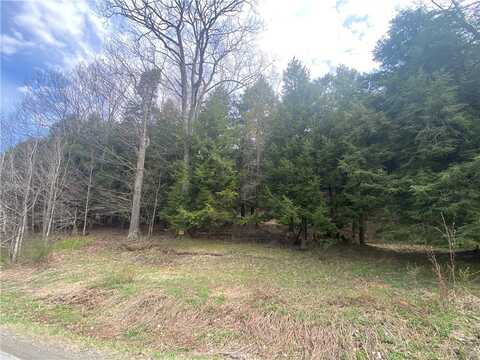 0- (lot B) Piermott Lane, Hartwick, NY 13348