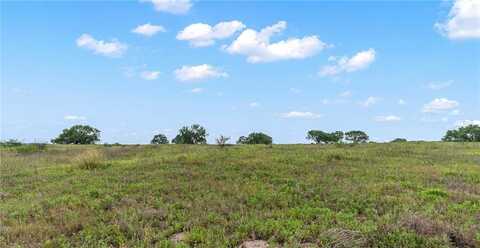 103 County Road 115 Cr, George West, TX 78022