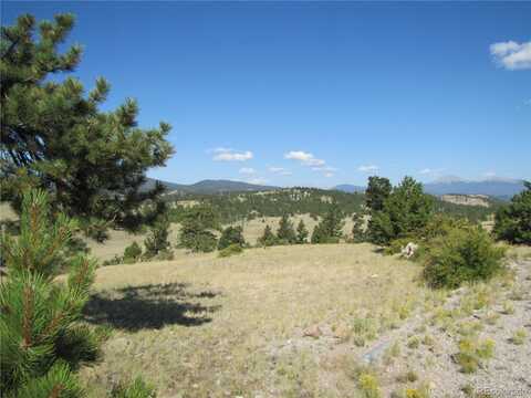 731 Canteen Way, Hartsel, CO 80449