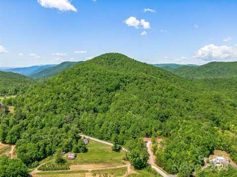 336 S Bobs Creek Road, Zirconia, NC 28790