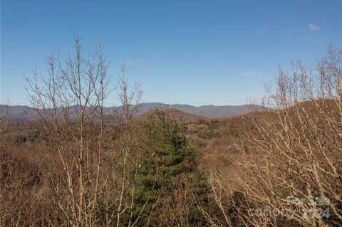 99999 Bishop Cove, Fairview, NC 28730