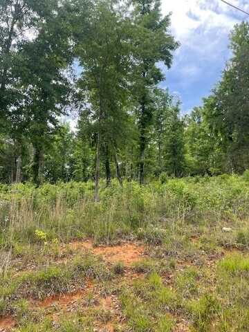 0 Lot 44 & 45 Holiday Drive, Abbeville, AL 36310