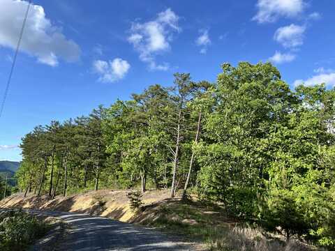 Lot 50 Pine Ridge Way, Caldwell, WV 24925