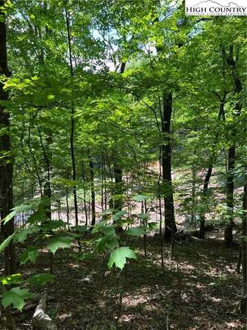 Lot 50 Fire Pink Road, Boone, NC 28607