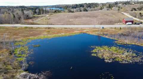 Lot 11 US Route 1, Whiting, ME 04691