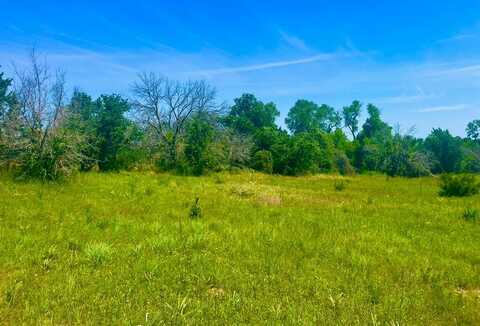 Lot 94 Kerry Ct, Poolville, TX 76487